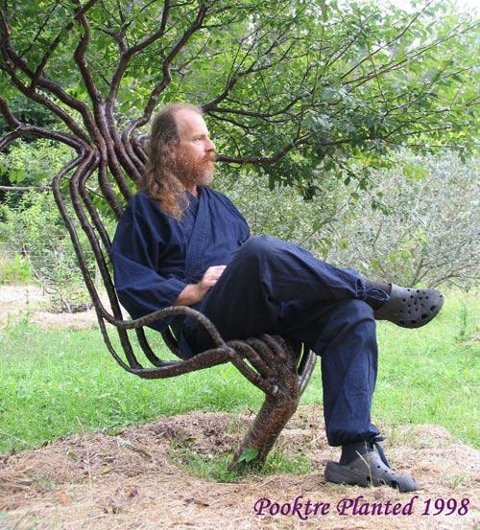 man grows tree-chair.jpg