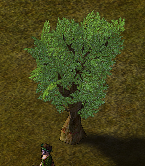 Laurel2.PNG
