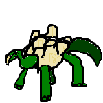 turtle.png
