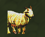 goat.png