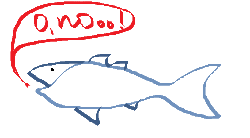 fish.png