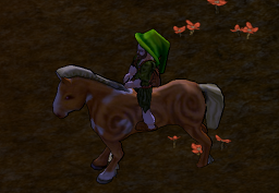 Riding H&H.png