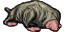 mole