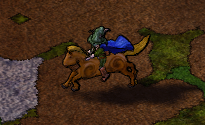 horse.png