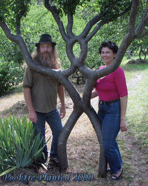 tree person.jpg