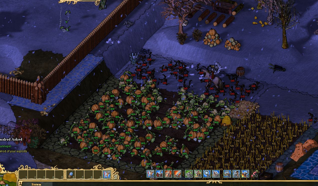 Haven Bug2.jpg