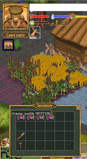 grapes.PNG