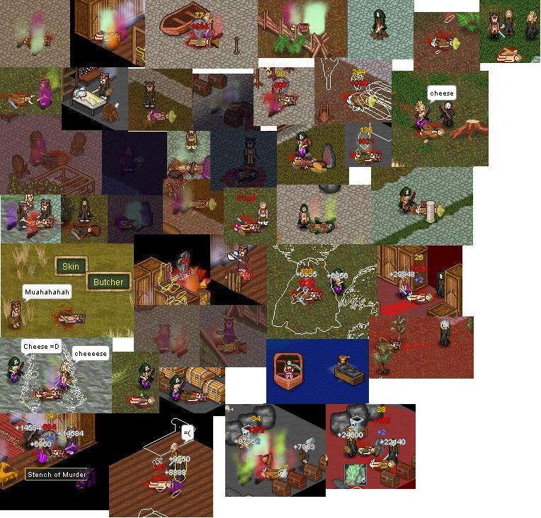 HnH Compillation.jpg